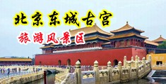色女被操高潮在线观看中国北京-东城古宫旅游风景区